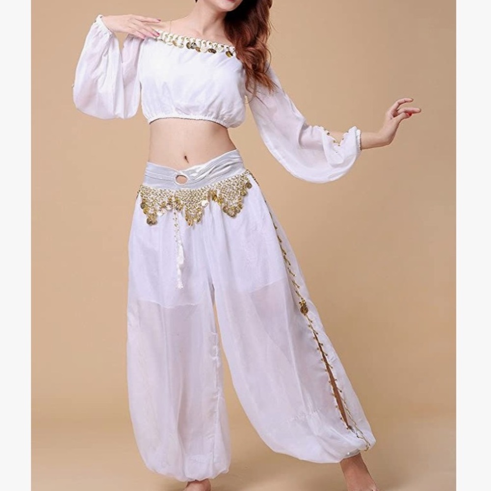 Belly Dance Chiffon top + bottom